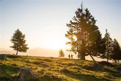 NOCK MOUNTAINS BIOSPHERE RESERVE
