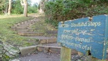 Изображение места проведения