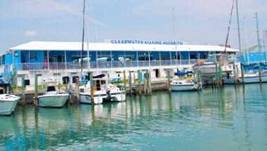 Clearwater Marine Aquarium в Clearwater, FL