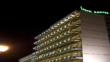 Kaktus Playa Hotel image
