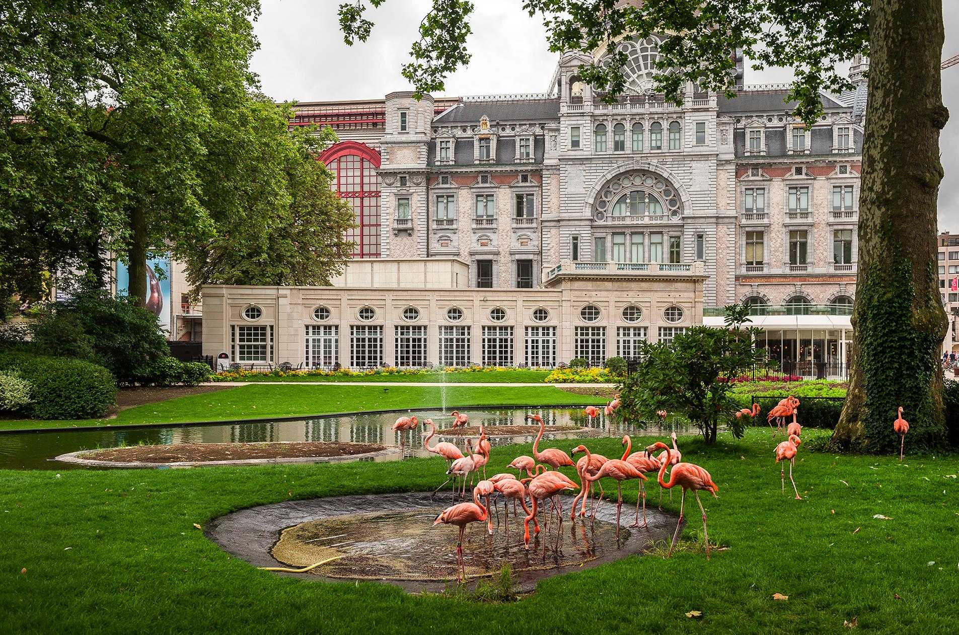 A Room with a ZOO - Elisabeth Center Antwerp a Antwerp, BE