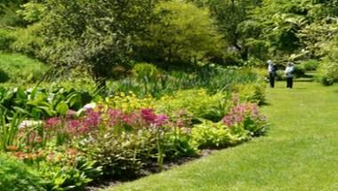 Marwood Hill Gardens à Barnstaple, GB1