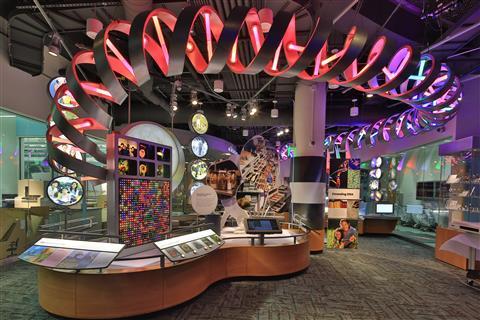 North Carolina Museum für Naturwissenschaften