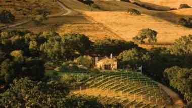 Holman Ranch Vineyards в Monterey, CA
