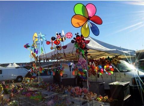 The San Jose Flea Market