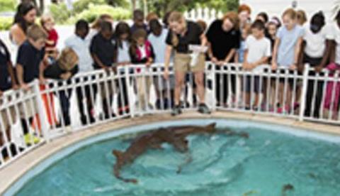 Sandoway Discovery Center