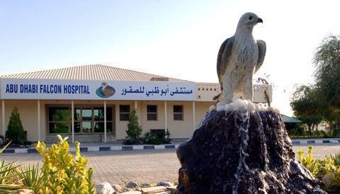 Falcon Hospital