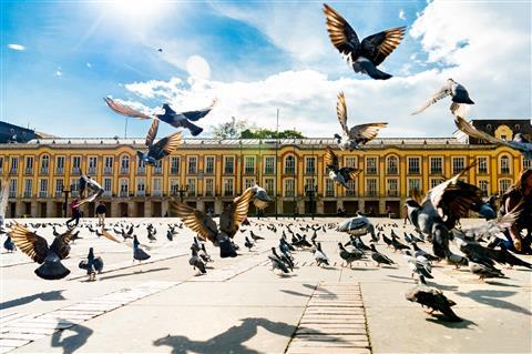 SIMON BOLIVAR SQUARE