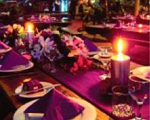 The Rainforest Habitat a Tropical North Queensland, AU