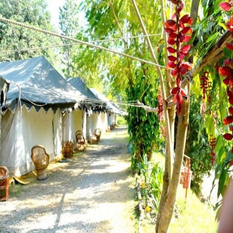 Himalaya Gipsy Adventure Camp a Rishikesh, IN