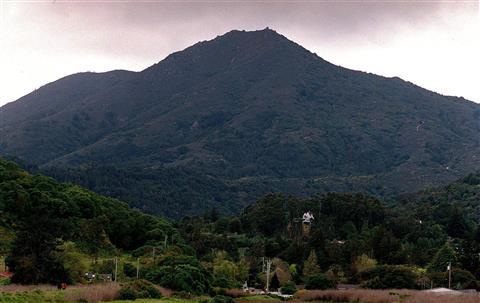 Mount Tamalpais State Park