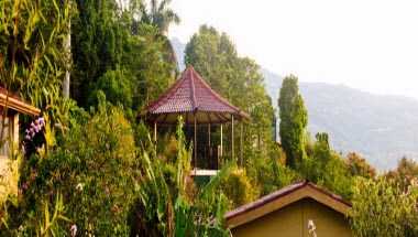 Pura Vida Retreat & Spa in Alajuela, CR