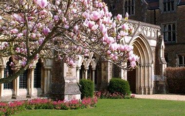 Bild des Veranstaltungsortes