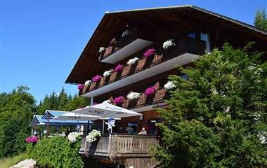 Mountain-Hotel Predigstuhl a Bad Goisern, AT