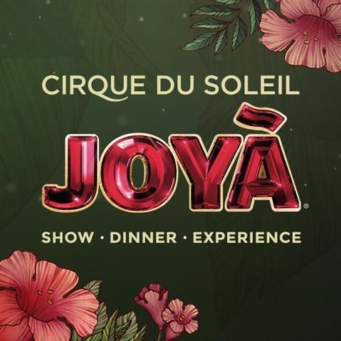 CIRQUE DU SOLEIL - JOYÀ