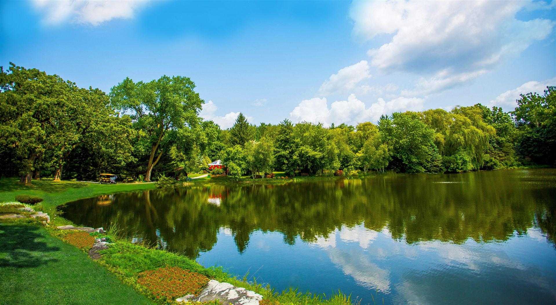 Wandering Tree Estate в Chicago, IL