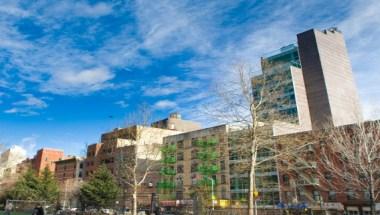 Hotel Mulberry image