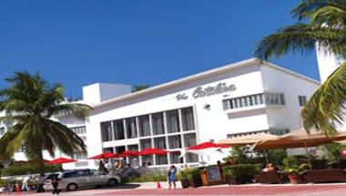 The Catalina Hotel & Beach Club image