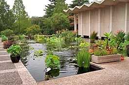 The United States National Arboretum a Washington, DC