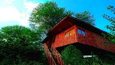 Tree House Resort in Jaipur, IN