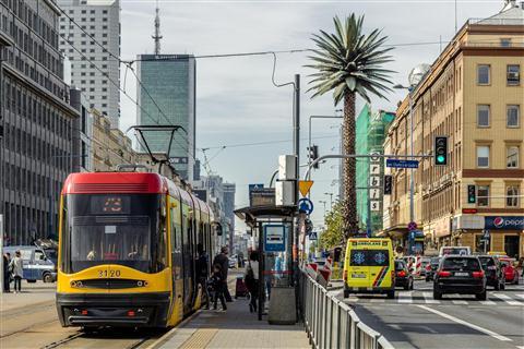 Palm tree at the Charles de Gaulle Roundabout