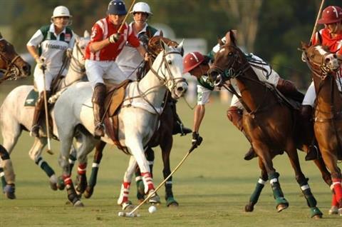 Aiken Polo Club a Whitney Field