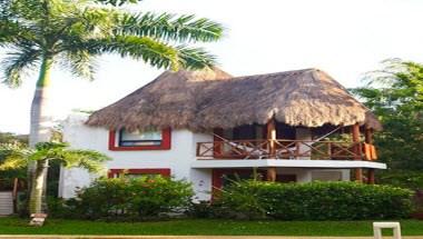 Hotel Las Palapas image