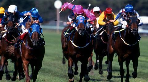 Great Meadow Foundation