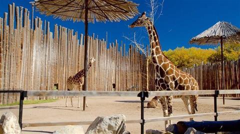 里奥格兰德动物园