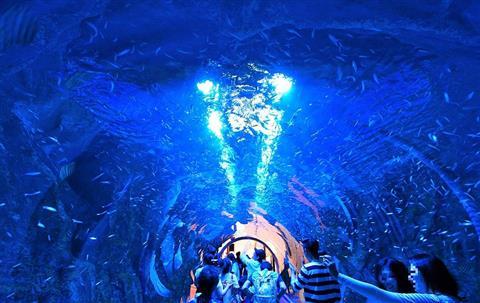Aquarium (Yeosu Aqua Planet)