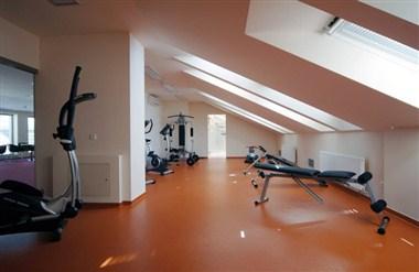 Hotel Orfeus in Podebrady, CZ