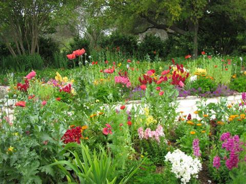 San Antonio Botanical Garden