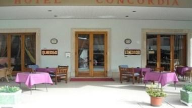Hotel Concordia image