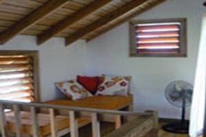 Cocolobo a Roatan, HN