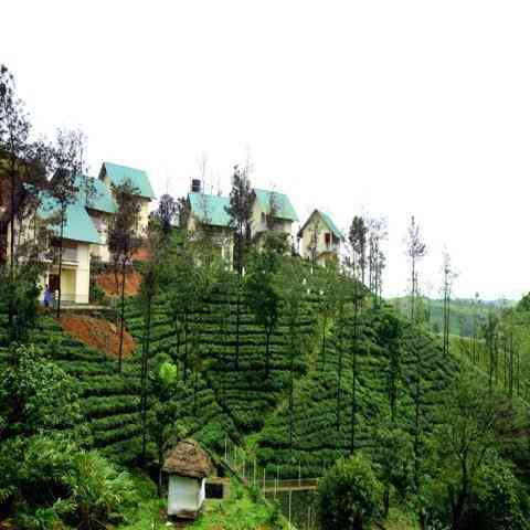 Winter Vale Green Stay, Kottayam, IN