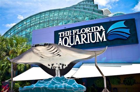 The Florida Aquarium