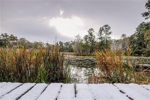 Memorial Park Arboretum