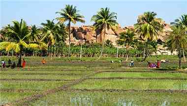 Department of Tourism, Government of Karnataka in Bengaluru, IN