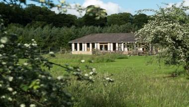 The Yorkshire Arboretum a York, GB1