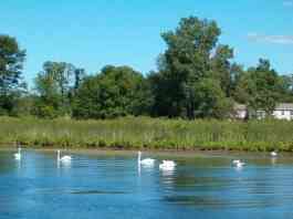 Coldwater Country Conference & Visitors Bureau a Coldwater, MI