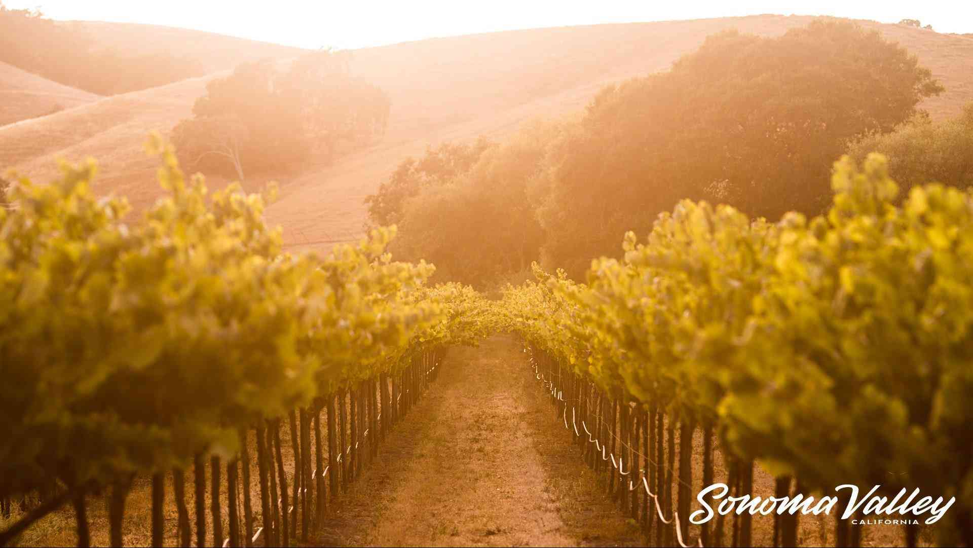 Sonoma Valley Visitors Bureau i Sonoma, CA