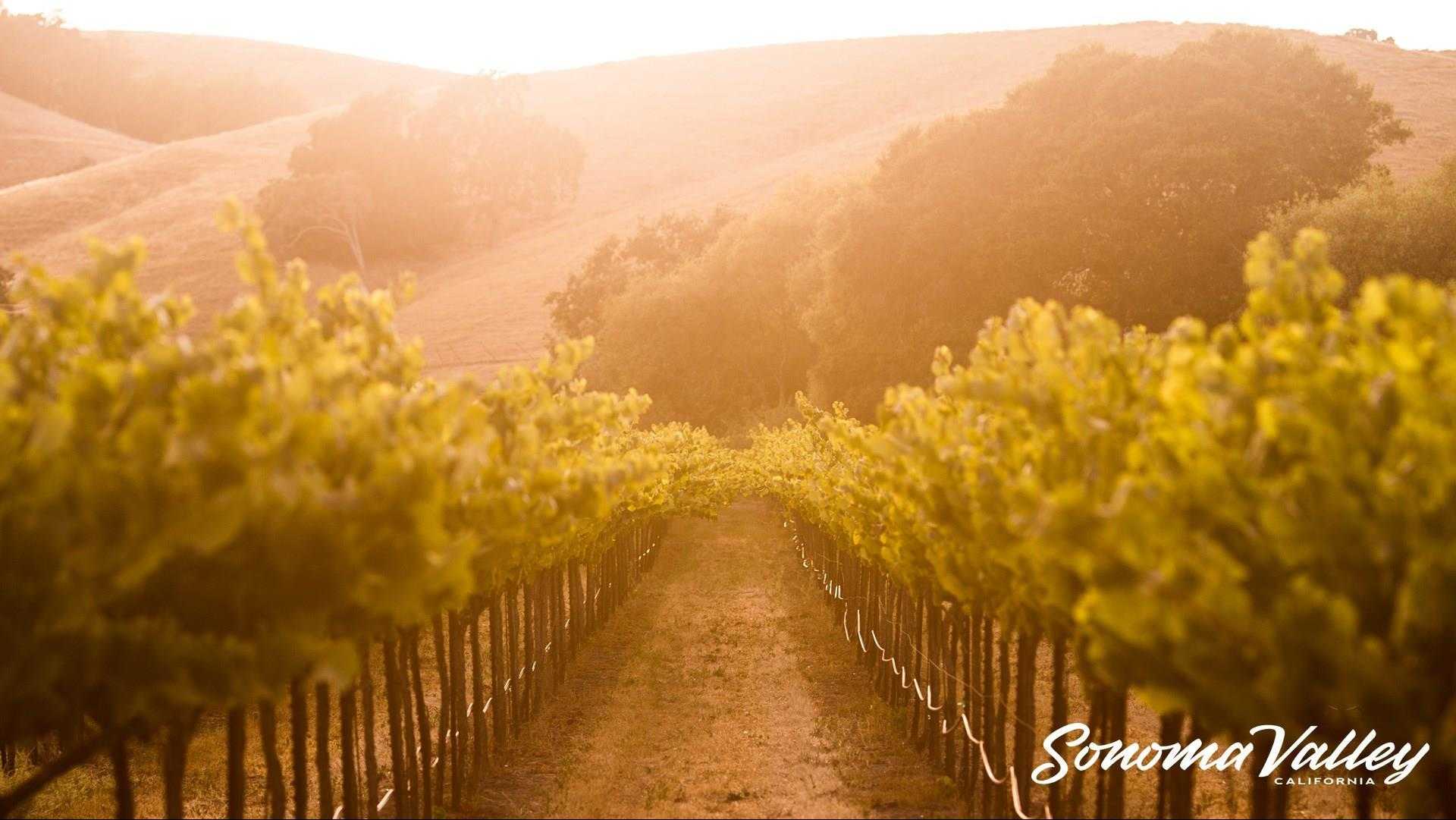 Sonoma Valley Visitors Bureau in Sonoma, CA