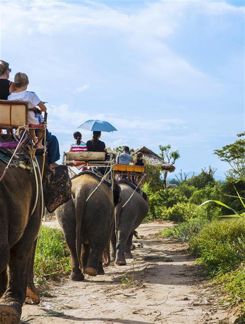 หัวหิน ซาฟารี