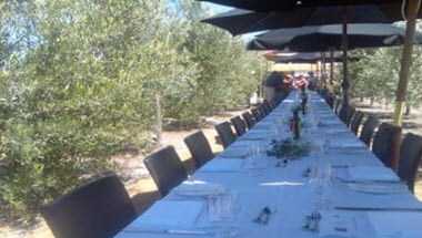 Telegraph Hill in Hastings, NZ