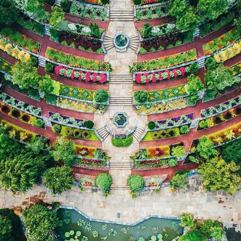 Jardines Sarah P. Duke