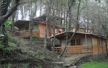 Aamod at Shoghi, Kandaghat, IN