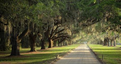 Boone Hall
