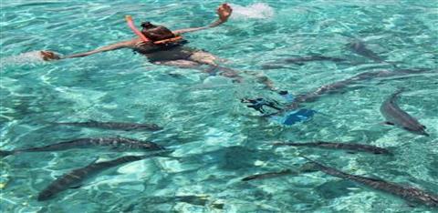 Hol Chan Marine Reserve