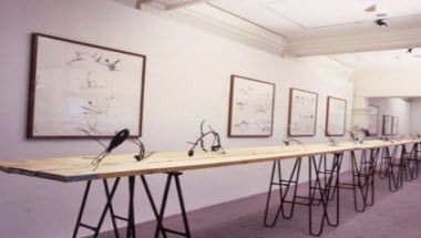 Изображение места проведения