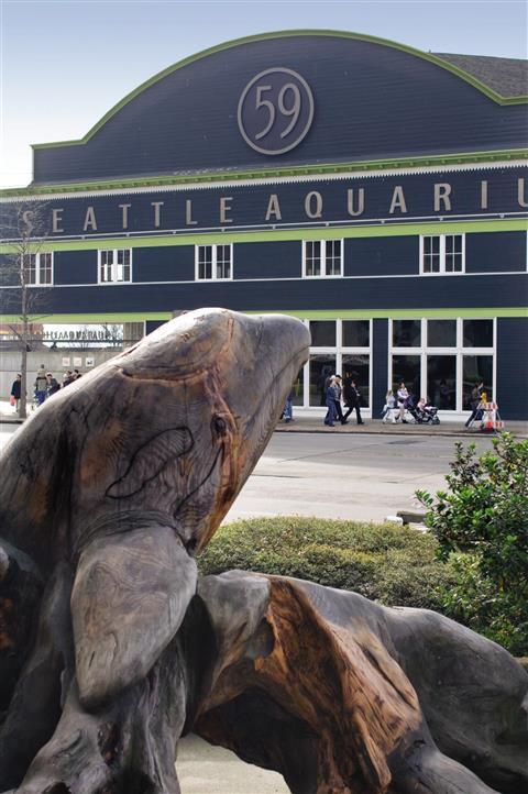 Seattle Aquarium